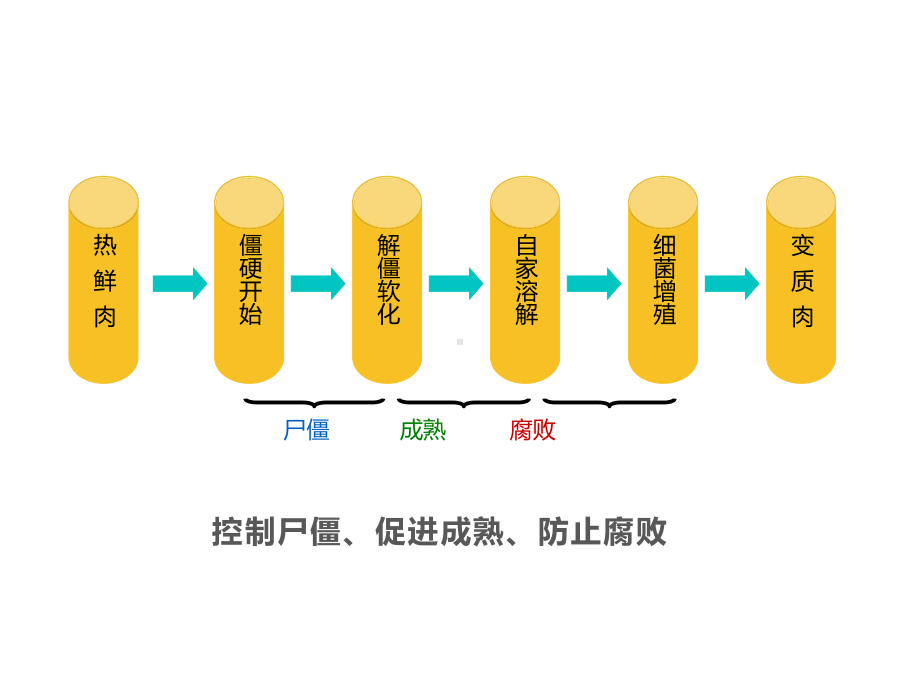 第二章、屠宰后肉的变化及分级技术课件.pptx_第2页