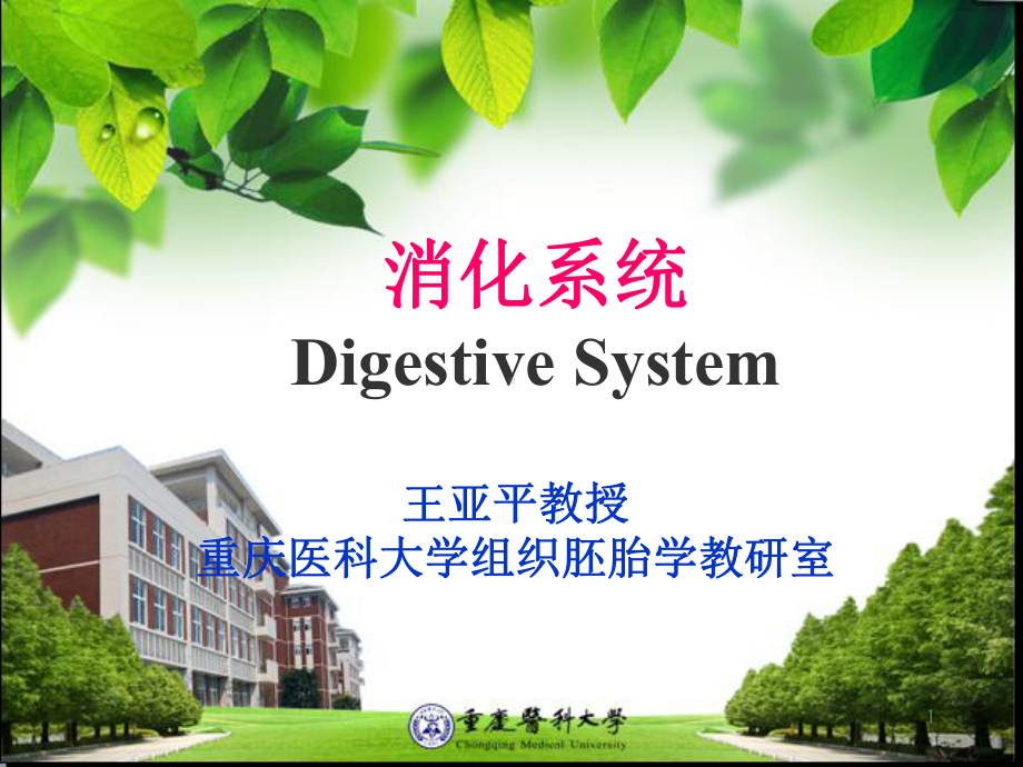 消化系统组织学培训课件.ppt_第1页