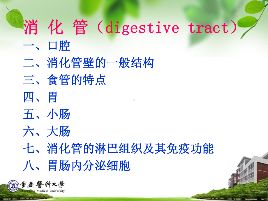 消化系统组织学培训课件.ppt_第3页