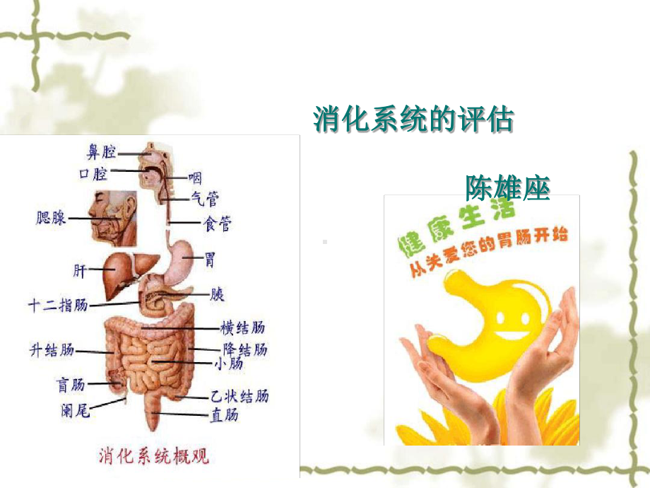 消化系统的评估课件.ppt_第1页