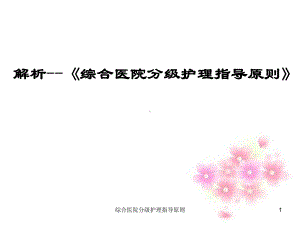 综合医院分级护理指导原则课件.ppt