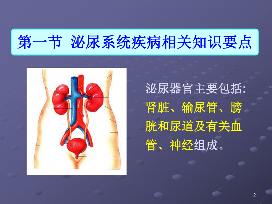 第一节泌尿系统疾病常见症状体征的护理课件.ppt_第2页