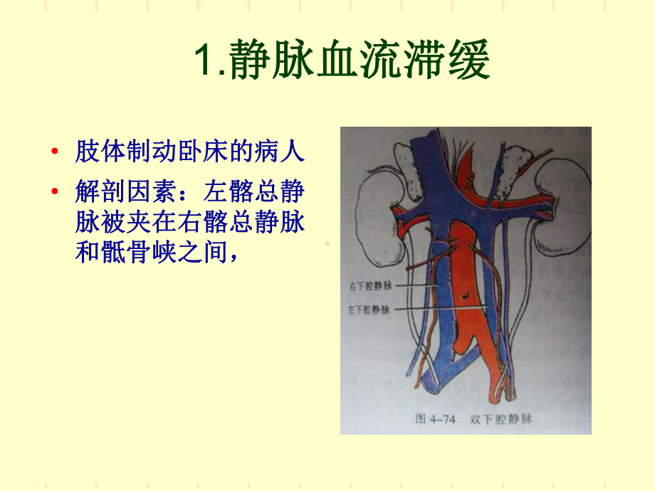 下肢深静脉血栓课件1教学内容.ppt_第3页