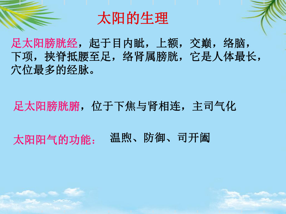 （精）太阳病辨证论治课件.ppt_第3页