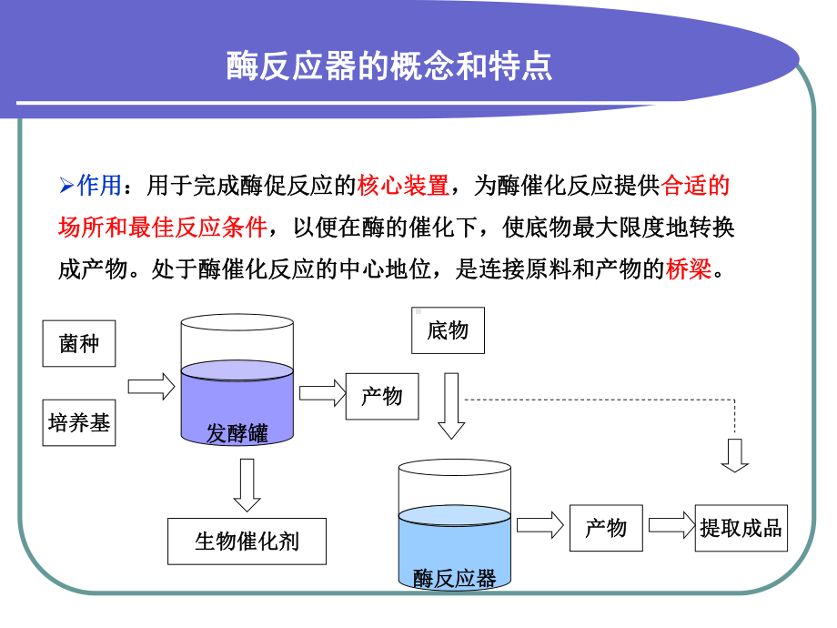 第六章-酶反应器课件.ppt_第3页