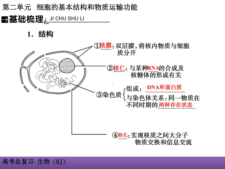 生物大一轮复习课件细胞核系统的控制中心.ppt_第2页