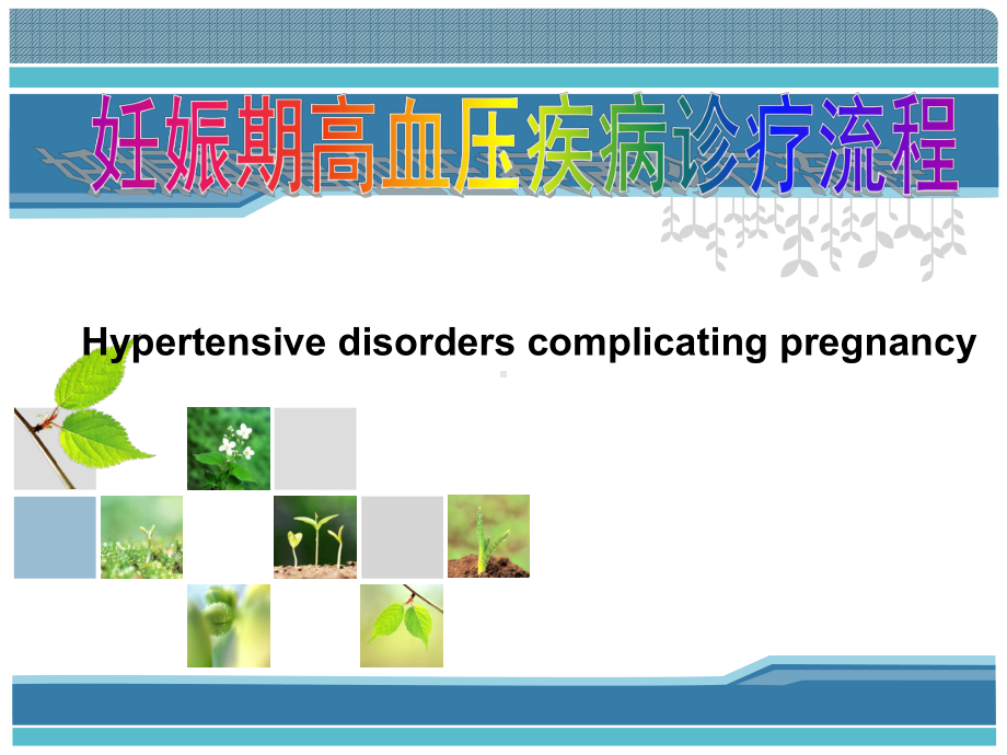 妊娠期高血压疾病诊疗流程课件.ppt_第1页