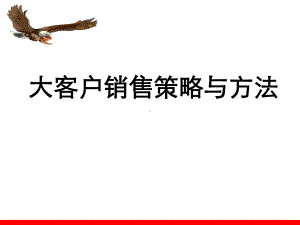 大客户销售策略与方法概论课件.ppt