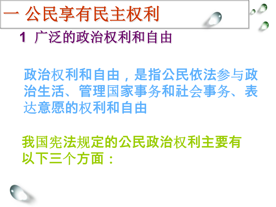 第十课-依法行使民主权利课件.ppt_第2页