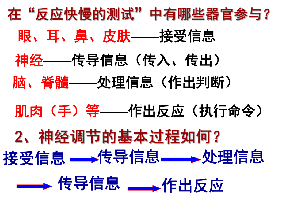 神经调节-第二课时课件.ppt_第1页