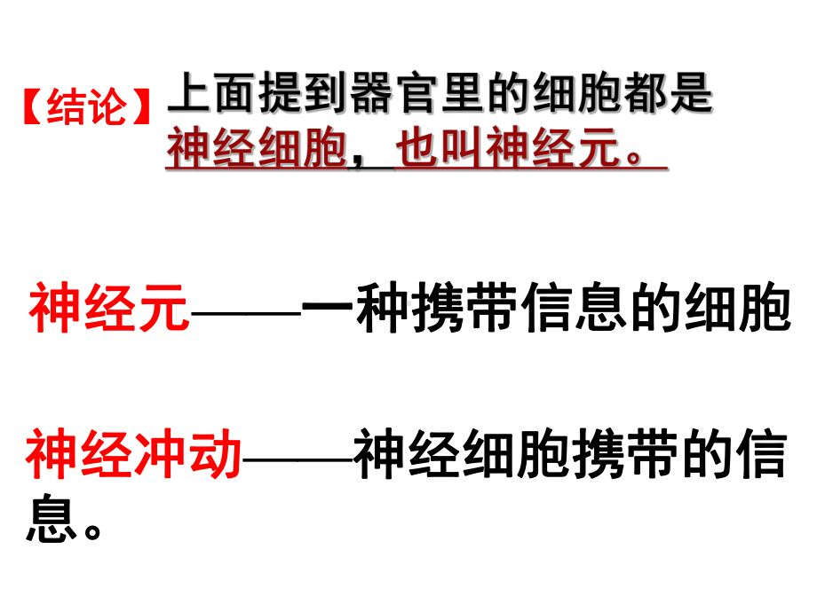 神经调节-第二课时课件.ppt_第3页