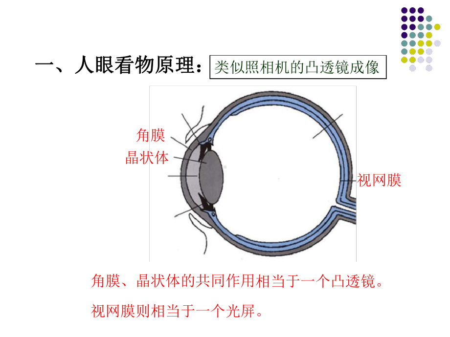 北师大版物理八年级下眼睛和眼镜课件.ppt_第3页