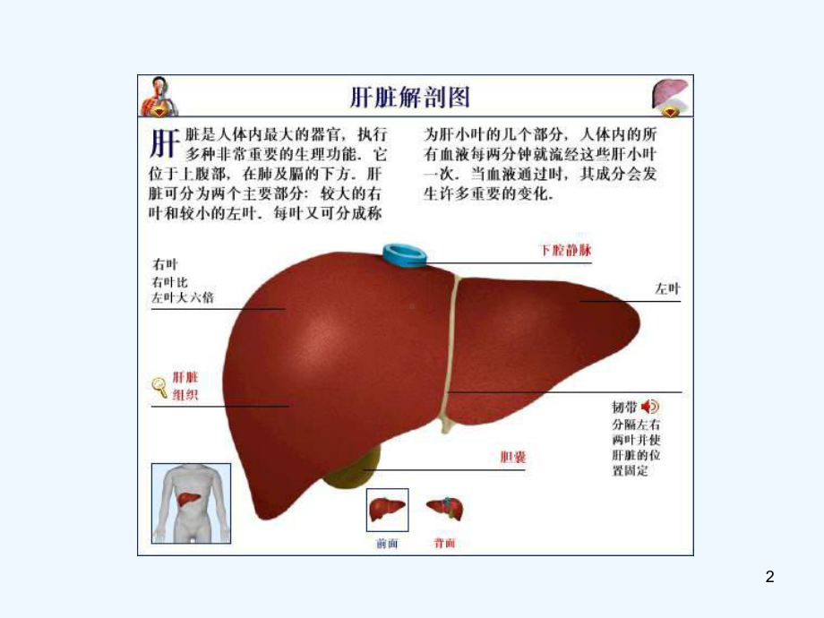 案例分析一肝功能检查课件.ppt_第2页