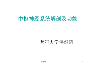 中枢神经系统解剖及功能-课件.ppt