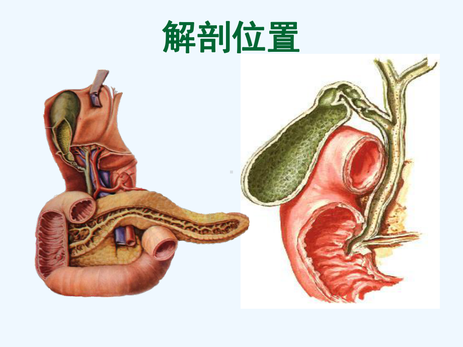 《常见的几种胆道疾病讲义》课件.ppt_第3页