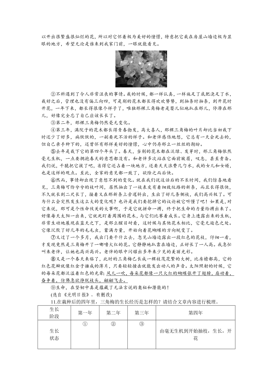 部编版七年级语文下册导学案18 一棵小桃树.doc_第3页