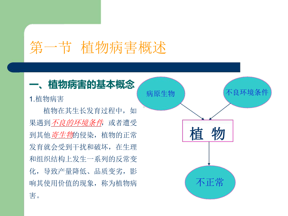 第二章植物病害基础知识101课件.ppt_第3页