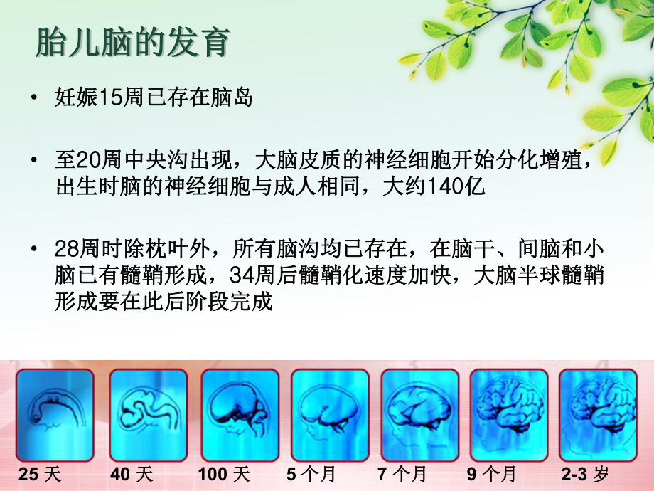 新生儿发育支持护理讲义课件.ppt_第2页