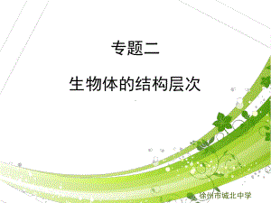 徐州市生物中考专题二复习课件资料[文字可编辑].ppt