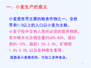 小麦生产技术课件.ppt