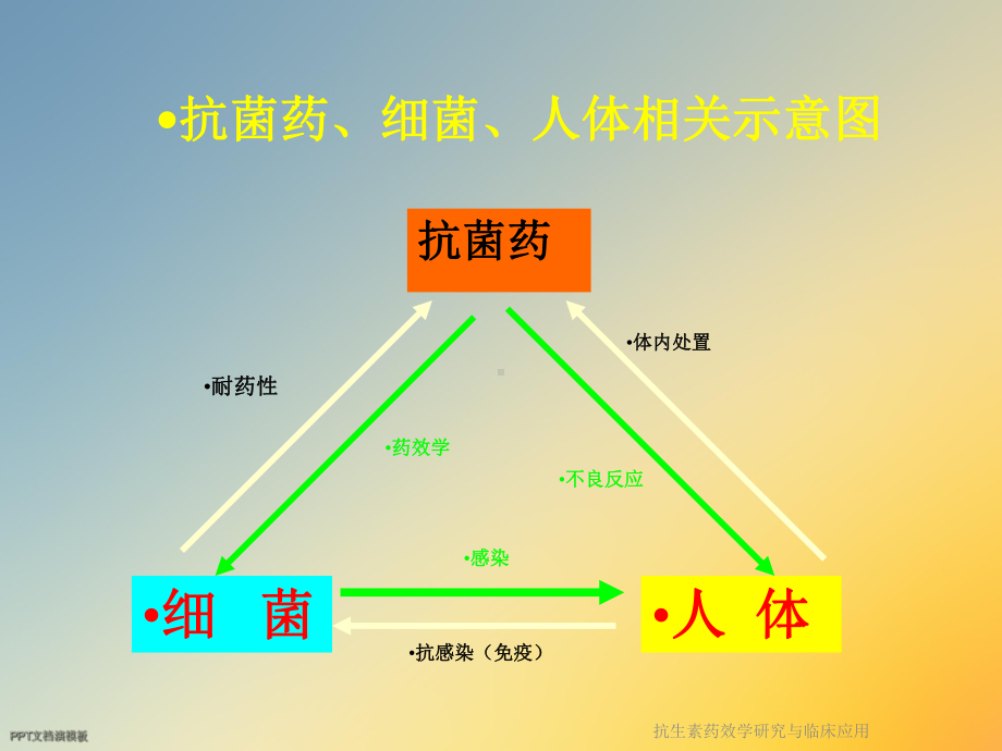 抗生素药效学研究与临床应用课件.ppt_第2页