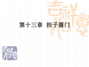 第13章担子菌门new课件.ppt