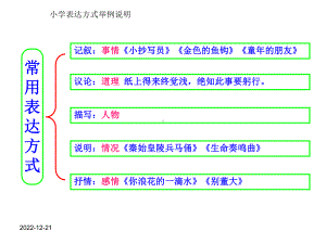 小学表达方式举例说明课件.ppt