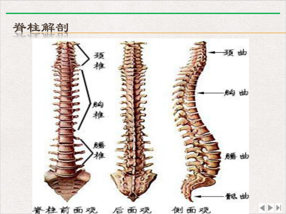 经皮椎体成形术的护理完美版课件.pptx_第2页