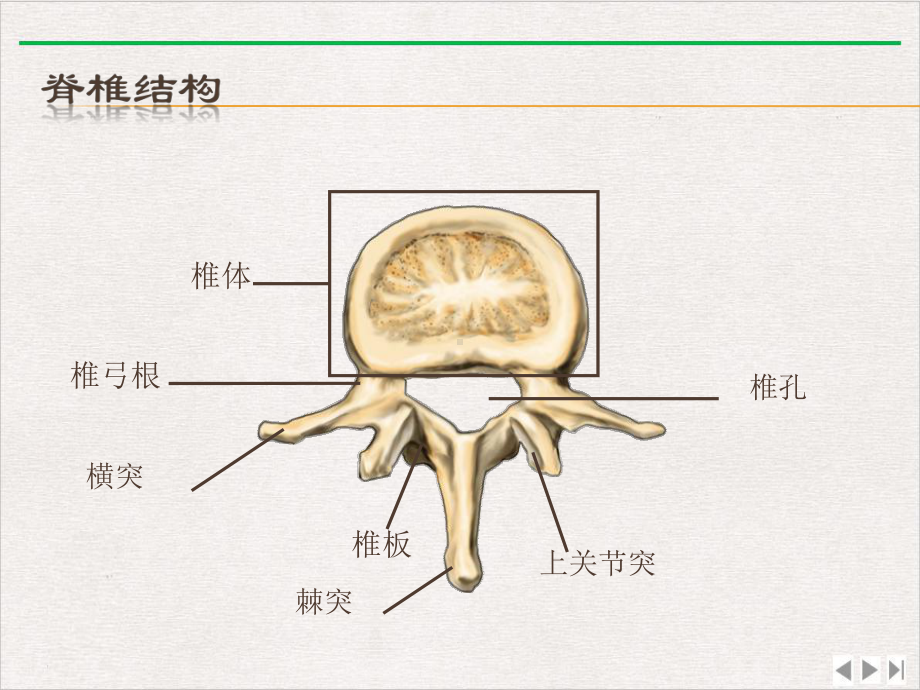 经皮椎体成形术的护理完美版课件.pptx_第3页