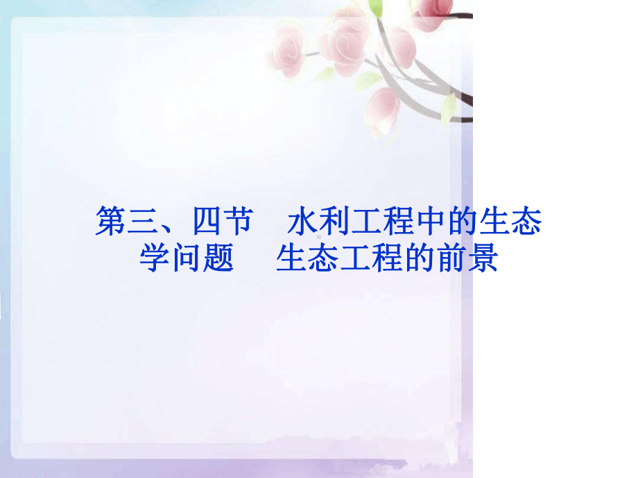 水利工程中的生态学问题生态工程的前景课件.ppt_第1页