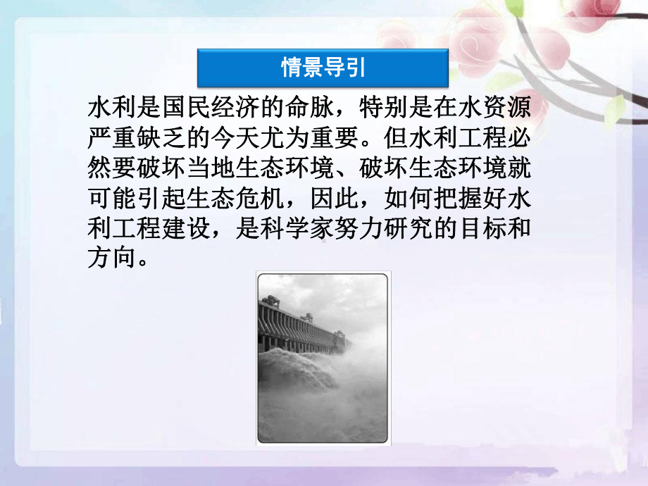 水利工程中的生态学问题生态工程的前景课件.ppt_第3页