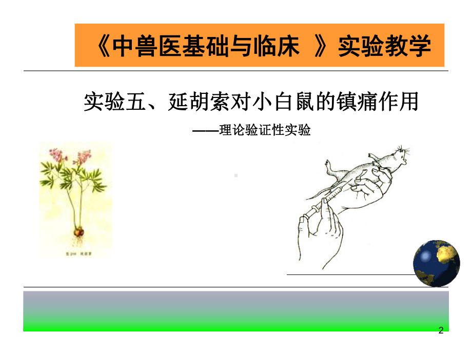 实验-延胡索对小白鼠的镇痛作用学习课件.ppt_第2页