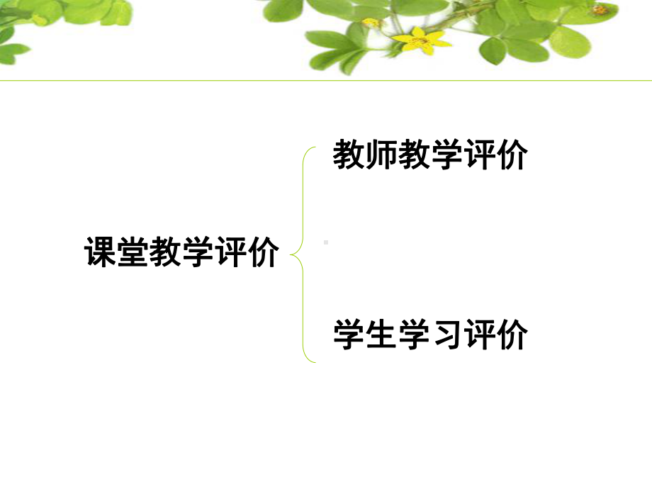 对课堂教学诸因素及发展变化进行的一种价值判断活动课件.ppt_第3页