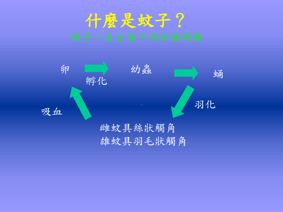 登革热防治及密度调查技巧课件.ppt_第3页