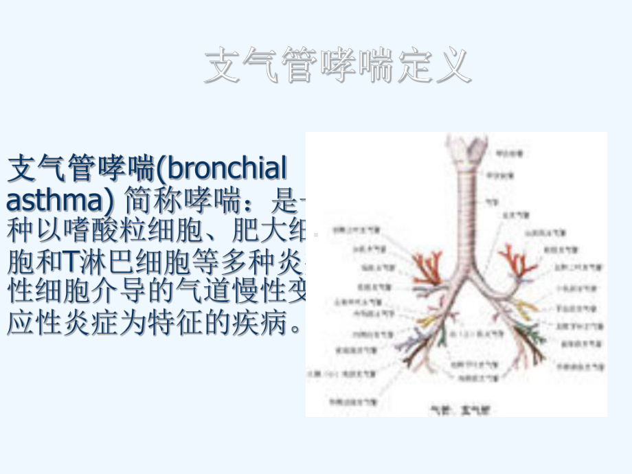 小讲课支气管哮喘护理课件.ppt_第3页