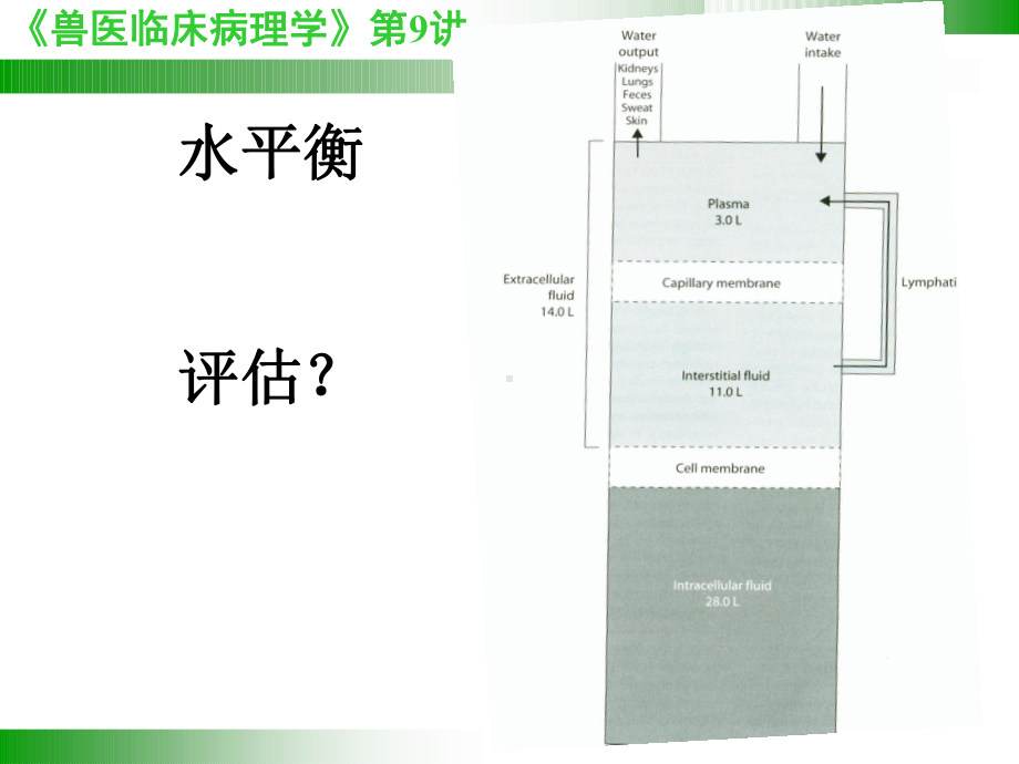 第9讲血气分析和电解质课件.ppt_第2页