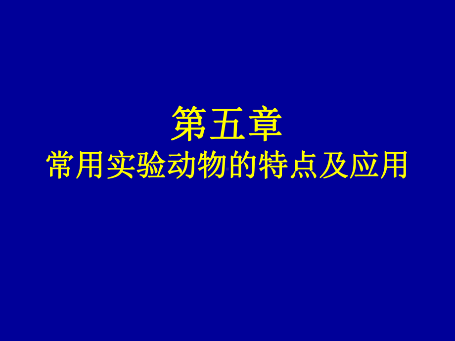 常用动物课件.ppt_第1页