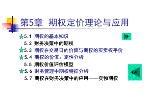 第5章期权定价理论与修改课件.ppt