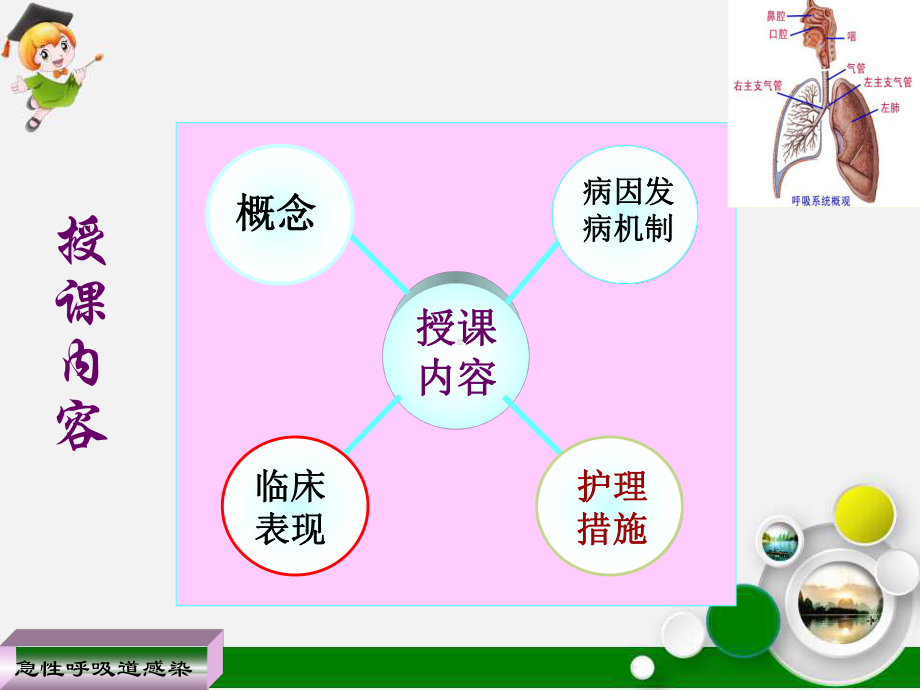 急性上呼吸道感染的护理课件.ppt_第2页