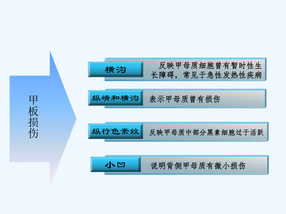 常见皮肤病指甲表现课件.ppt_第2页