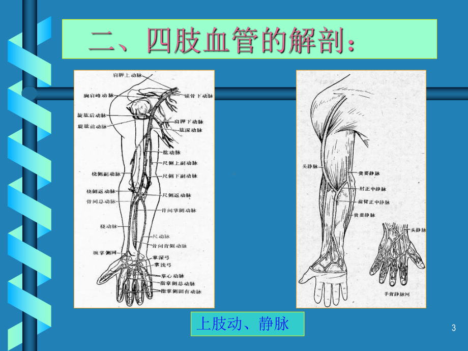 肢血管损伤的显微外科治疗教学课件.ppt_第3页