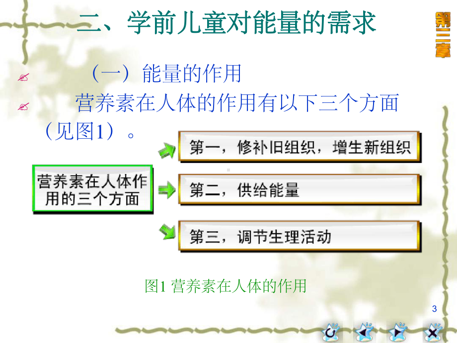 学前儿童营养卫生与保健课堂课件.ppt_第3页