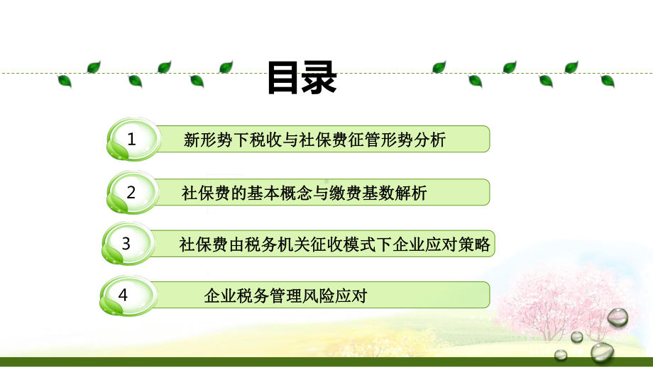 新形势下社保深度解析与企业税务管理风险电子版课件.ppt_第3页