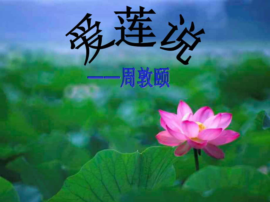 爱莲说菊之爱陶后鲜有闻课件.ppt_第1页