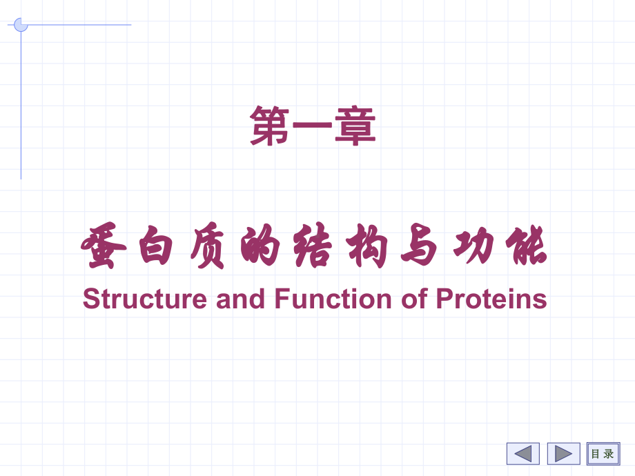 氨基酸、多肽与蛋白质课件.pptx_第2页