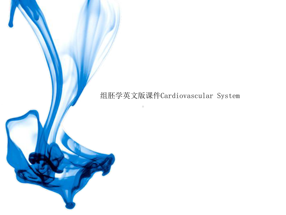 组胚学英文版课件Cardiovascular-System.ppt_第1页