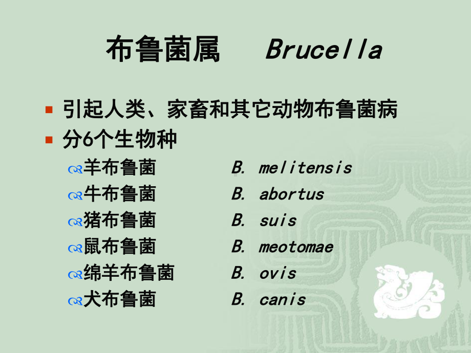 医学动物源性细菌课件.ppt_第2页