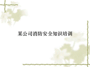 某公司消防安全知识培训课件.ppt