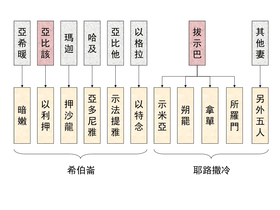 大卫王年纪老迈虽用被遮盖仍不觉暖所以臣仆对他说课件.ppt_第3页