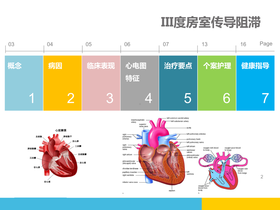 心内：房室传导阻滞的护理查房课件.ppt_第2页